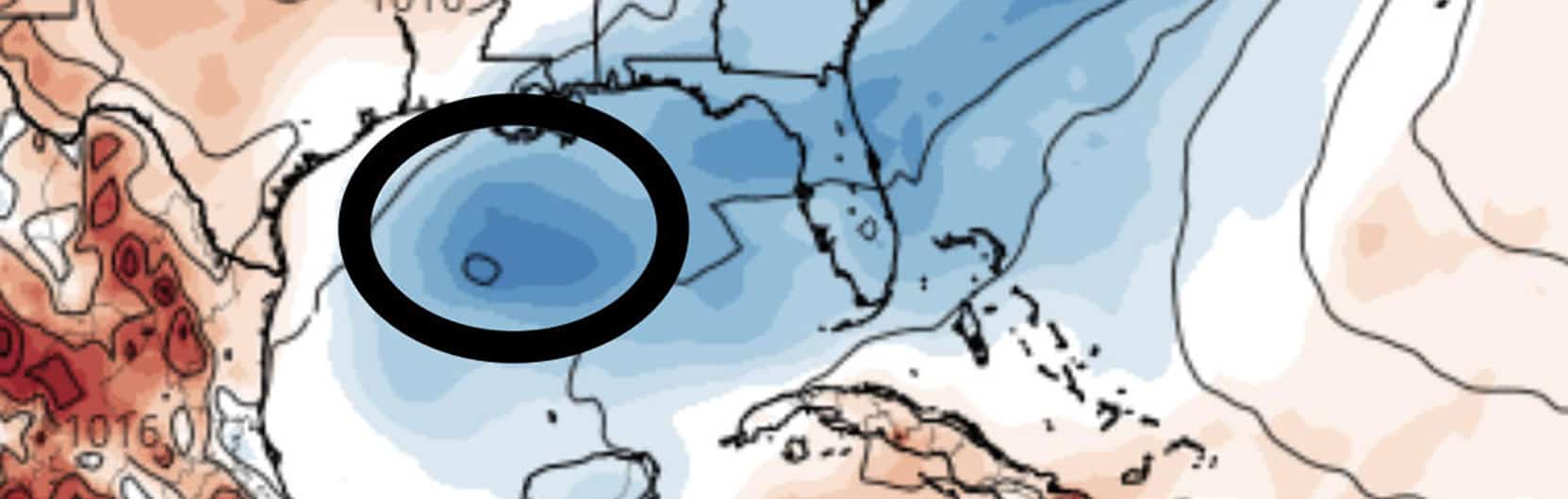 Gulf of Mexico disturbance, 7/24/2019