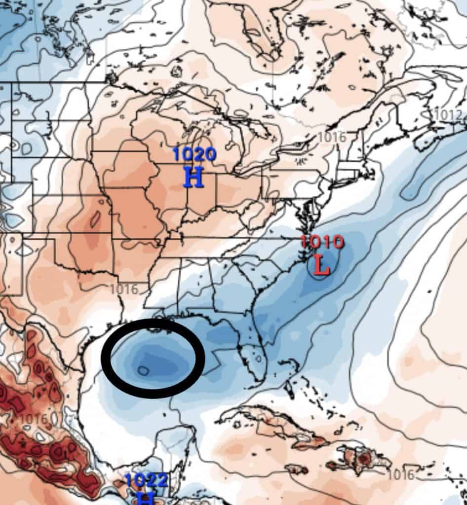 Gulf of Mexico disturbance, 7/24/2019