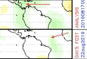 Madden-Julian Oscillation Forecast | August 19, 2019