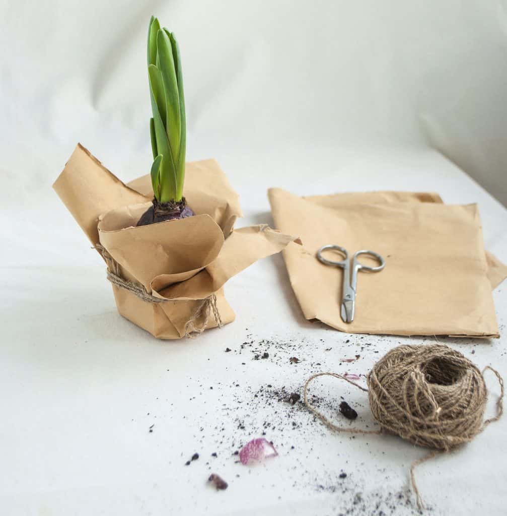 Homemade Biodegradable Seedling Pot