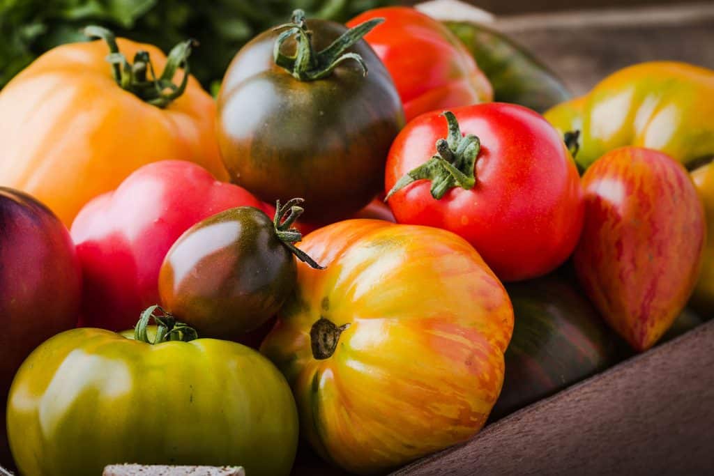 Heirloom Tomatoes