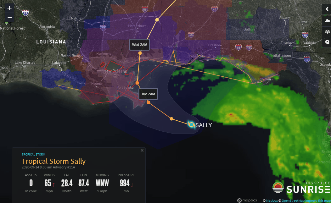 Sally - Riskpulse