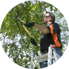 Man trimming tree branches